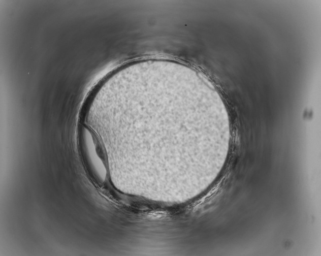 X0000097920248200804111147