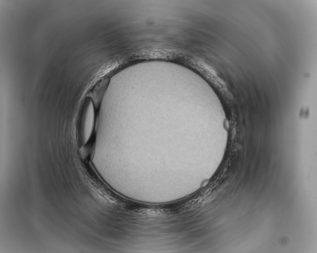 X0000097920250200804111147