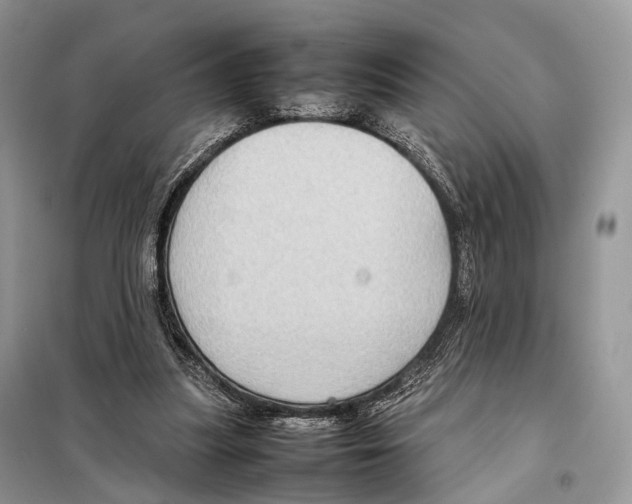 X0000097920251200804111147