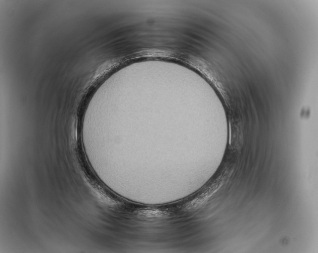 X0000097920253200804111147