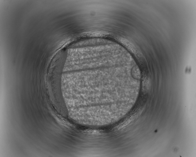 X0000097920254200804111147