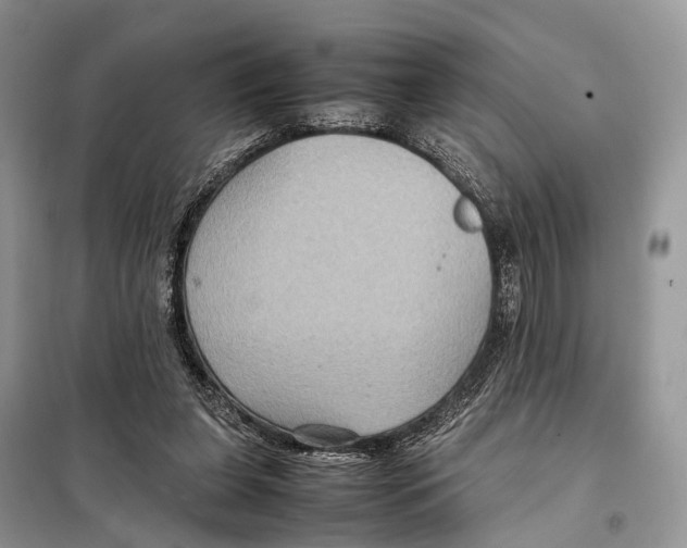 X0000097920255200804111147