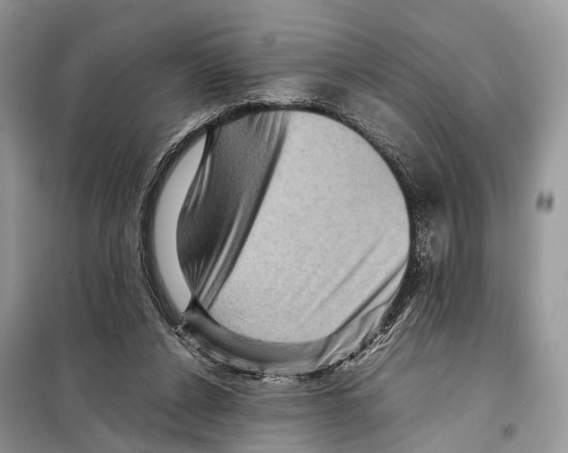 X0000097920256200804111147