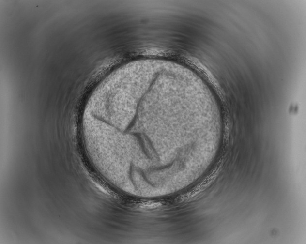 X0000097920257200804111147