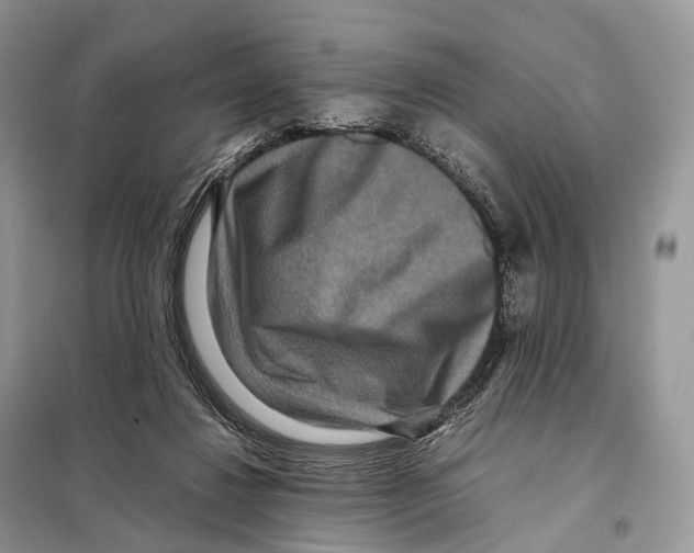 X0000097920260200804111147