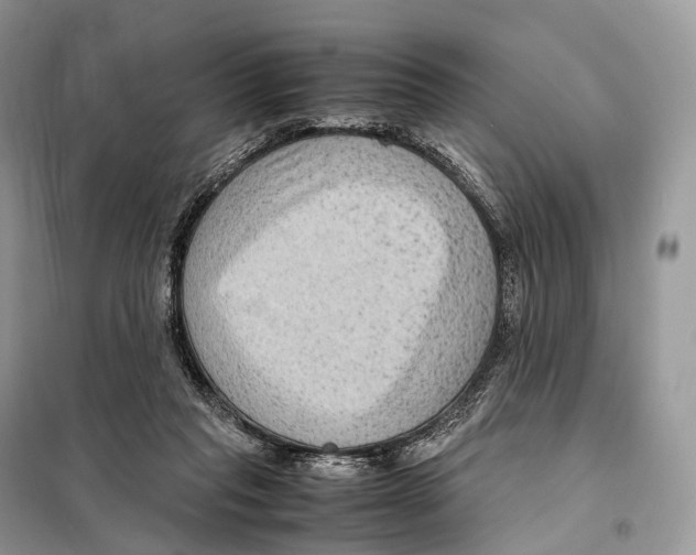 X0000097920261200804111147