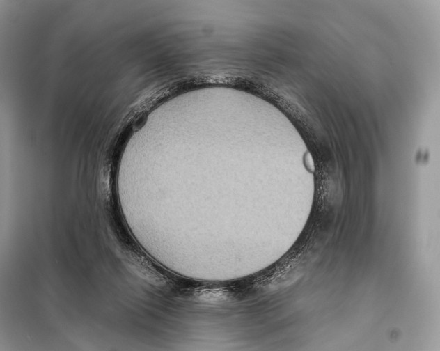 X0000097920262200804111147