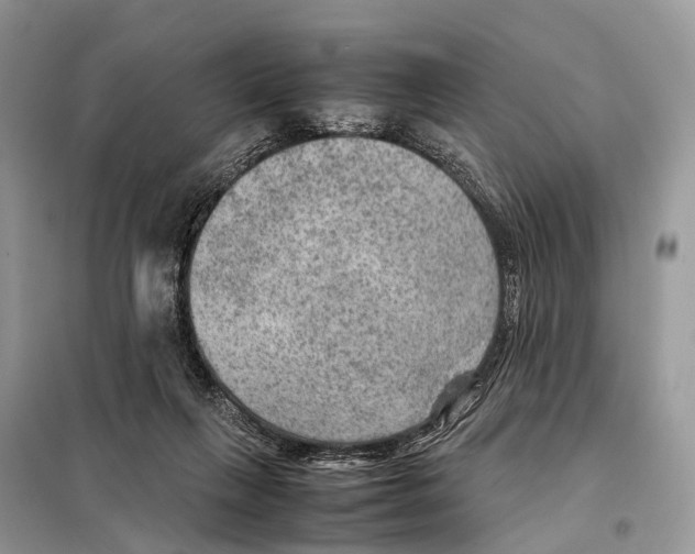 X0000097920263200804111147