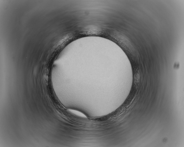 X0000097920264200804111147