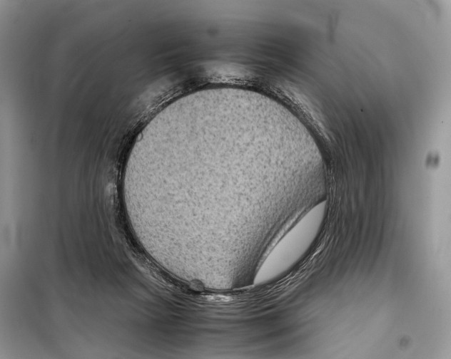 X0000097920265200804111147