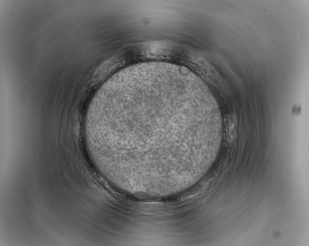 X0000097920266200804111147