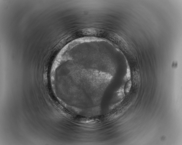 X0000097920267200804111147