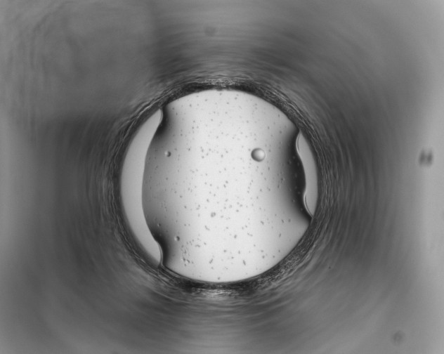 X0000097920268200804111147