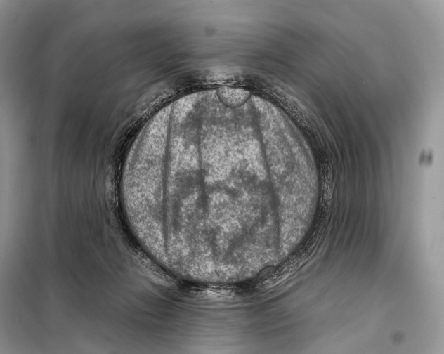 X0000097920270200804111147