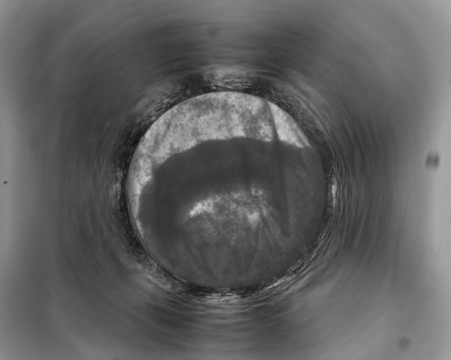 X0000097920271200804111147