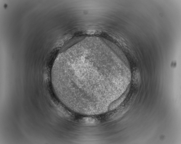 X0000097920272200804111147