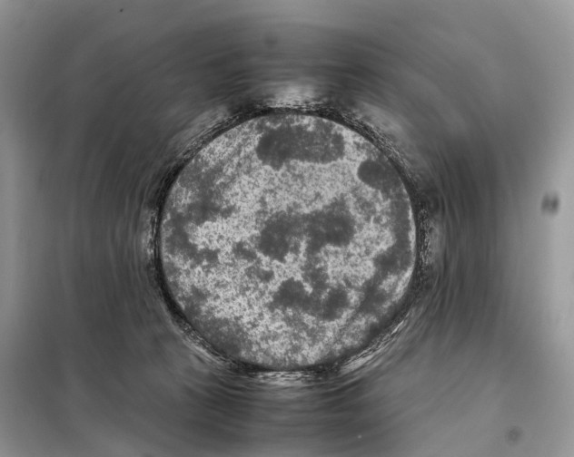 X0000097920273200804111148