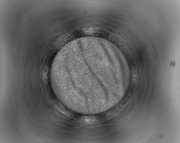 X0000097920275200804111148