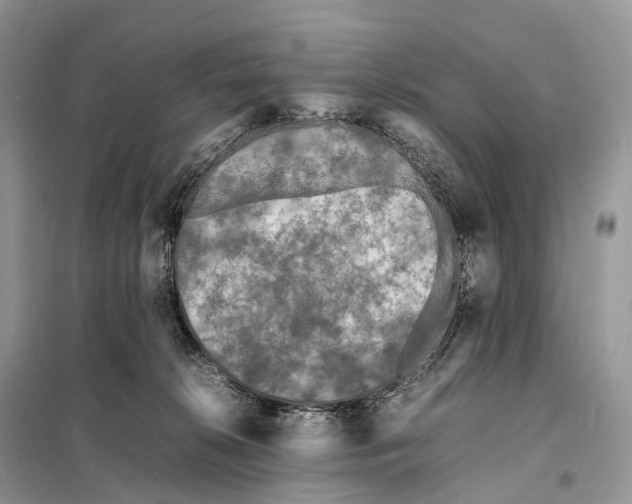 X0000097920276200804111148