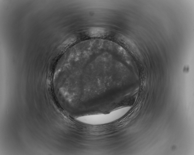 X0000097920277200804111148