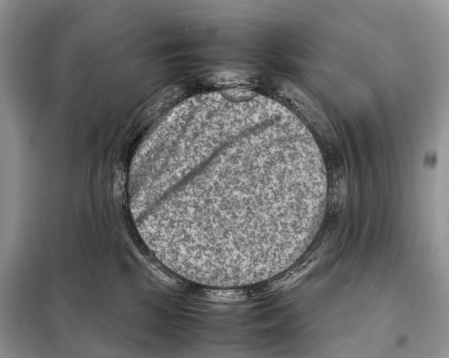 X0000097920281200804111148