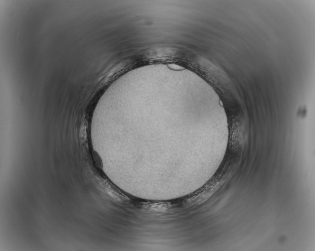 X0000097920282200804111148