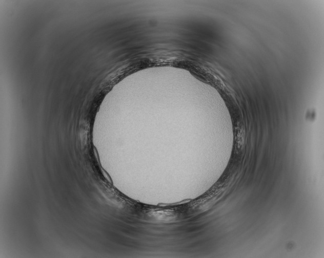 X0000097920283200804111148