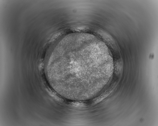 X0000097920284200804111148