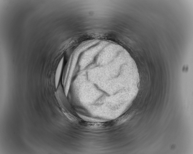 X0000097920288200804111148