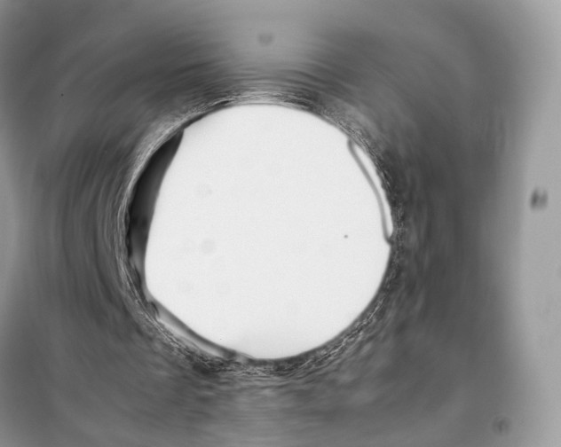 X0000097920289200804111147