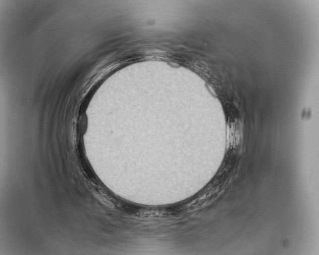 X0000097920291200804111147