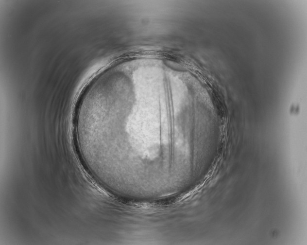 X0000097920293200804111147