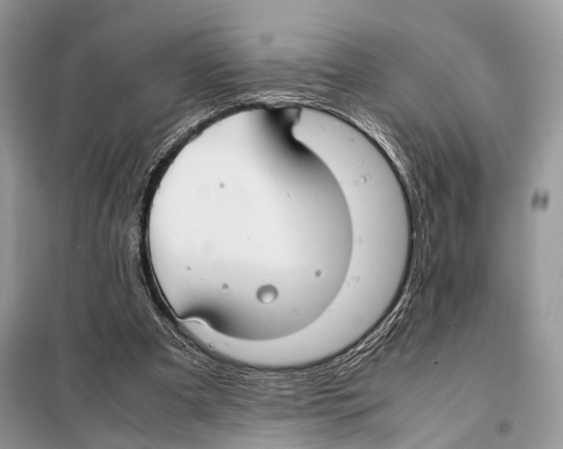 X0000097920297200804111147