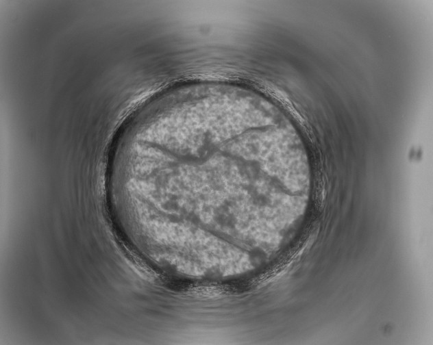 X0000097920299200804111147