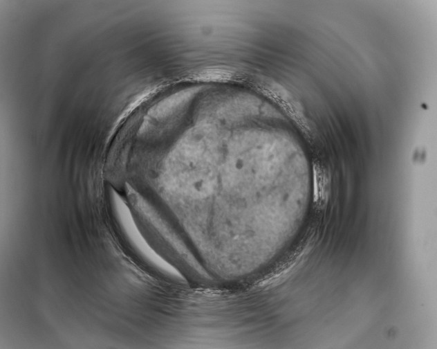 X0000097920300200804111147