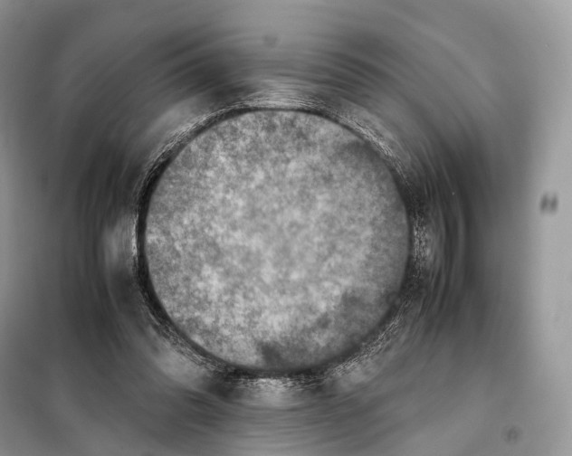 X0000097920302200804111147