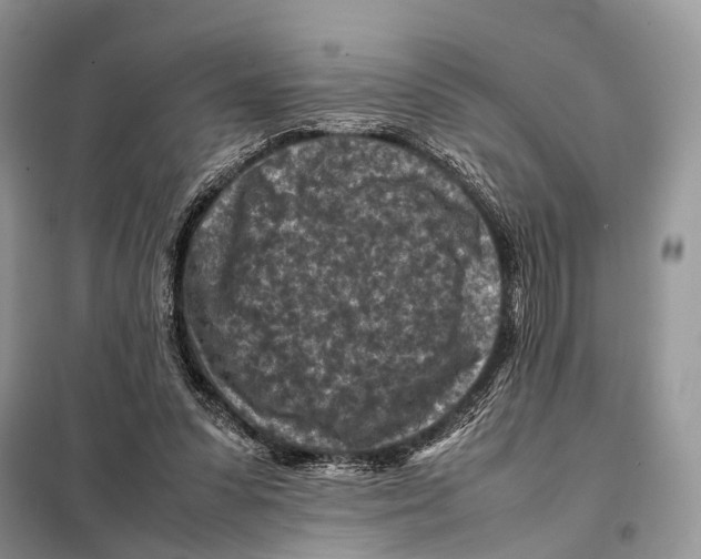 X0000097920303200804111147