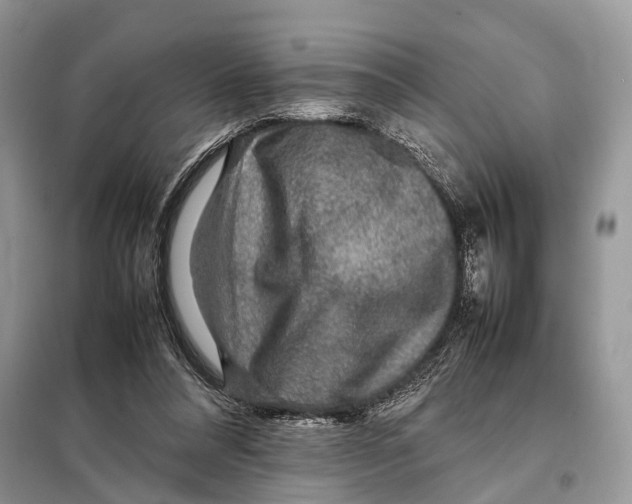 X0000097920304200804111147