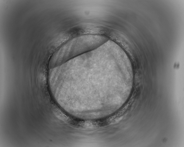 X0000097920305200804111147