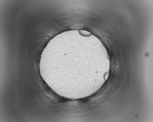 X0000097920307200804111147