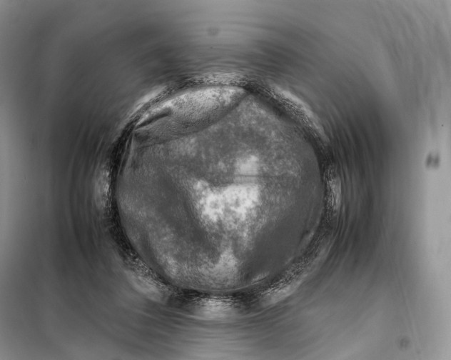 X0000097920308200804111147