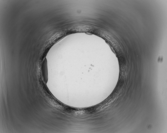 X0000097920309200804111147