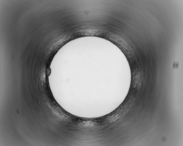 X0000097920310200804111147