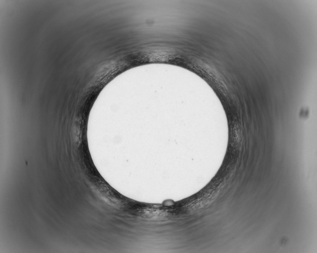 X0000097920311200804111147