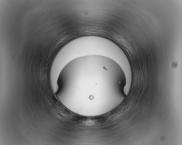 X0000097920312200804111147