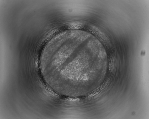 X0000097920314200804111147