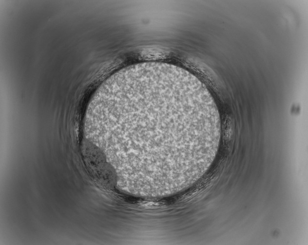 X0000097920315200804111146