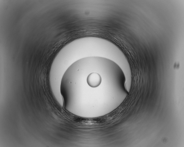 X0000097920316200804111146