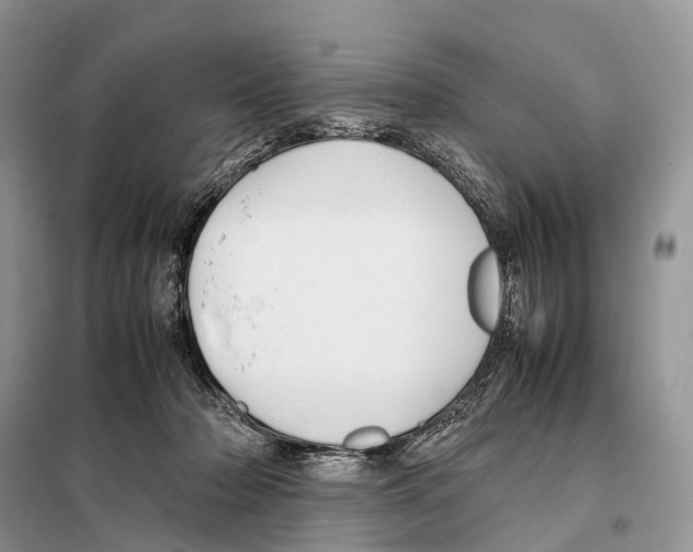 X0000097920318200804111146