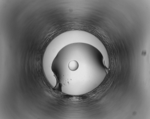 X0000097920320200804111146